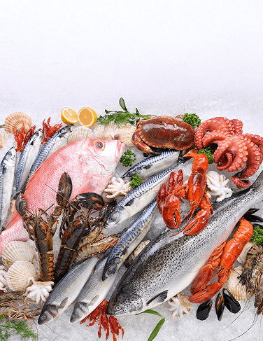 SPECIALTY FOOD LINES